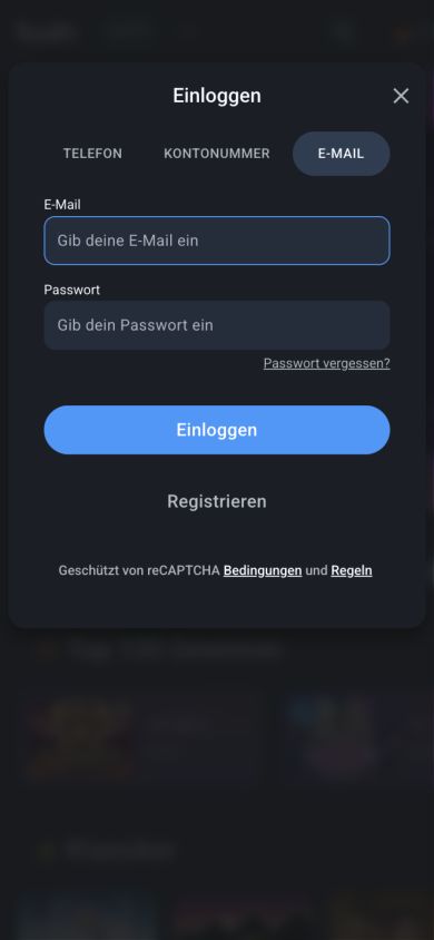 Twin-Anmeldedialog in der mobilen Ansicht mit E-Mail- und Passwortfeldern